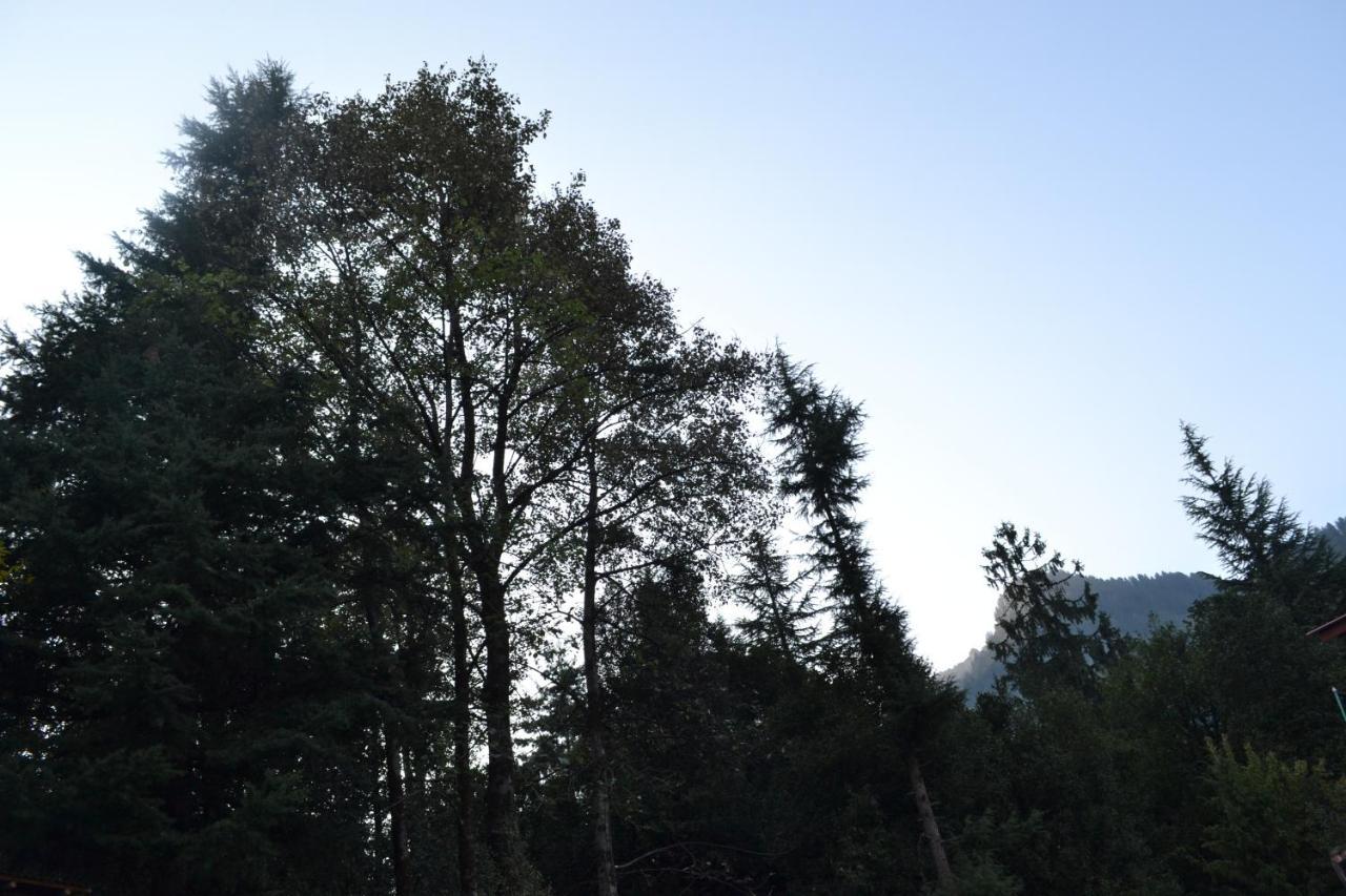 Forest Wood Cottage Manali  Bagian luar foto