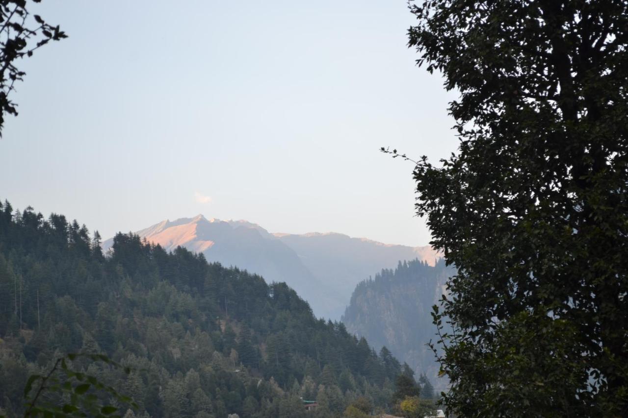 Forest Wood Cottage Manali  Bagian luar foto