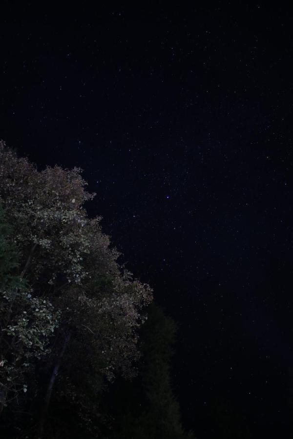 Forest Wood Cottage Manali  Bagian luar foto